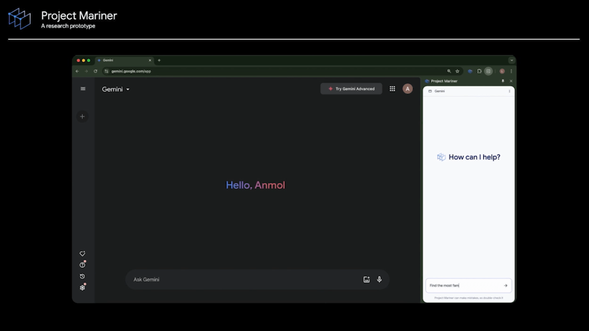 Project Mariner showcases the potential for AI to handle intricate web-based activities.